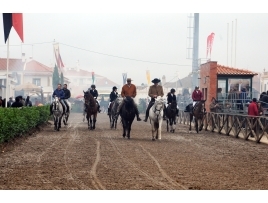 Feira Nacional do Cavalo