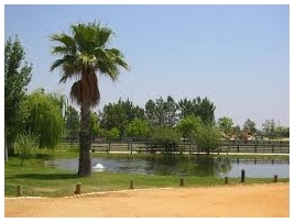 Parque Ambiental de Santa Margarida